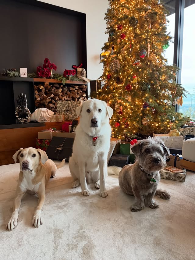 Saved public post media preview 8 from @jenniferaniston snapshot