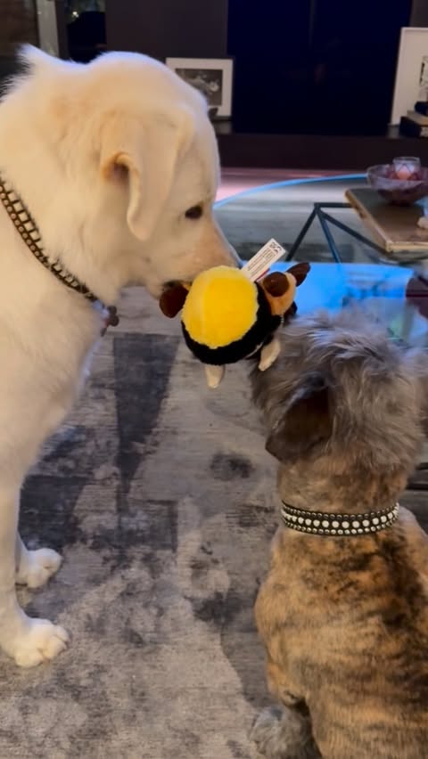 Saved public reels media preview 8 from @jenniferaniston snapshot