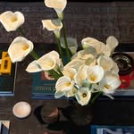 Saved public highlight cover 2 for @kendalljenner