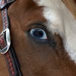 Saved public highlight cover 4 for @kendalljenner