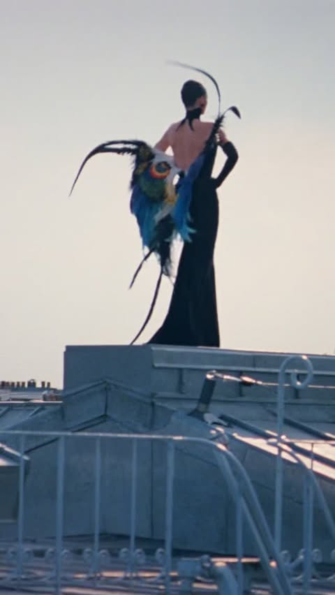 Saved public reels media preview 6 from @kendalljenner snapshot