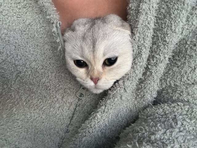 Saved public post media preview 8 from @kyliejenner snapshot