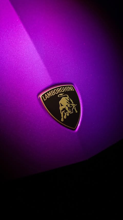 Saved public reels media preview 1 from @lamborghini snapshot