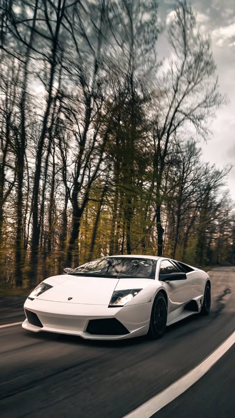 Saved public reels media preview 5 from @lamborghini snapshot