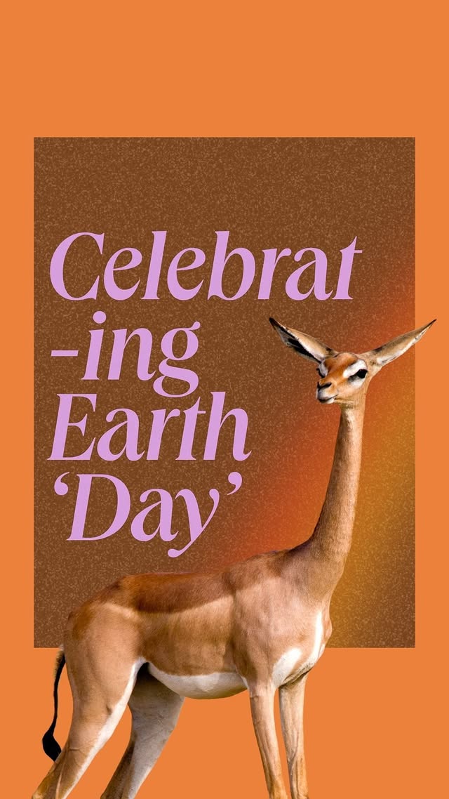 Saved public post media preview 1 from @leonardodicaprio snapshot