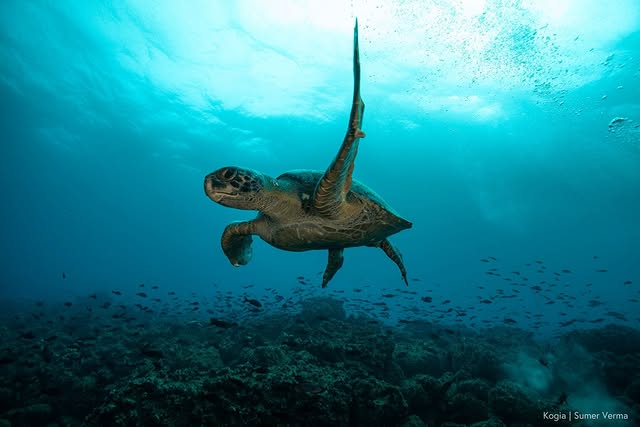 Saved public post media preview 4 from @leonardodicaprio snapshot