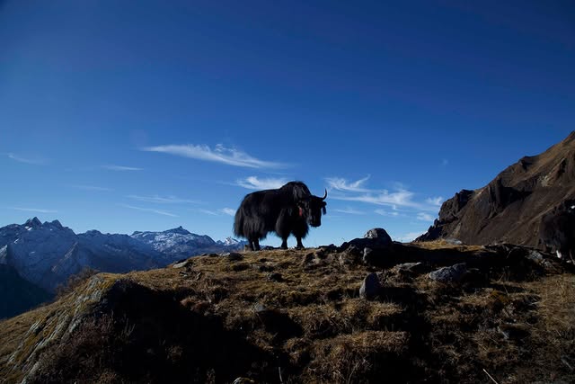 Saved public post media preview 9 from @leonardodicaprio snapshot