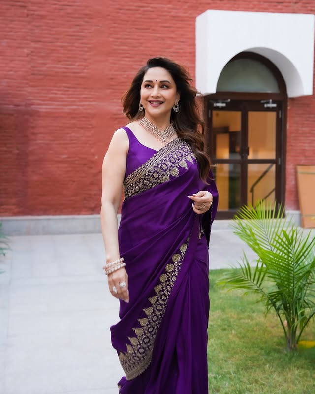 Saved public post media preview 4 from @madhuridixitnene snapshot