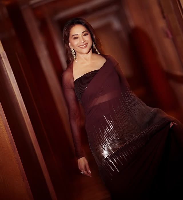 Saved public post media preview 6 from @madhuridixitnene snapshot