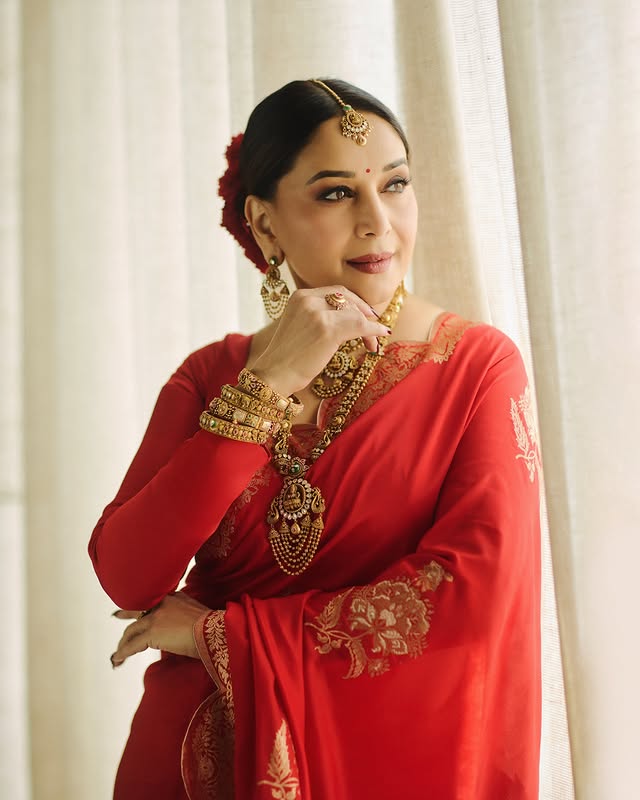 Saved public post media preview 8 from @madhuridixitnene snapshot