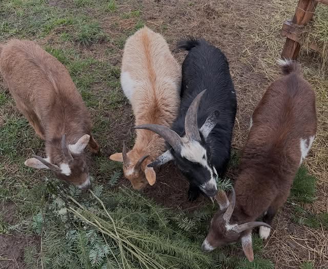 Saved public post media preview 4 from @madisonbeer snapshot