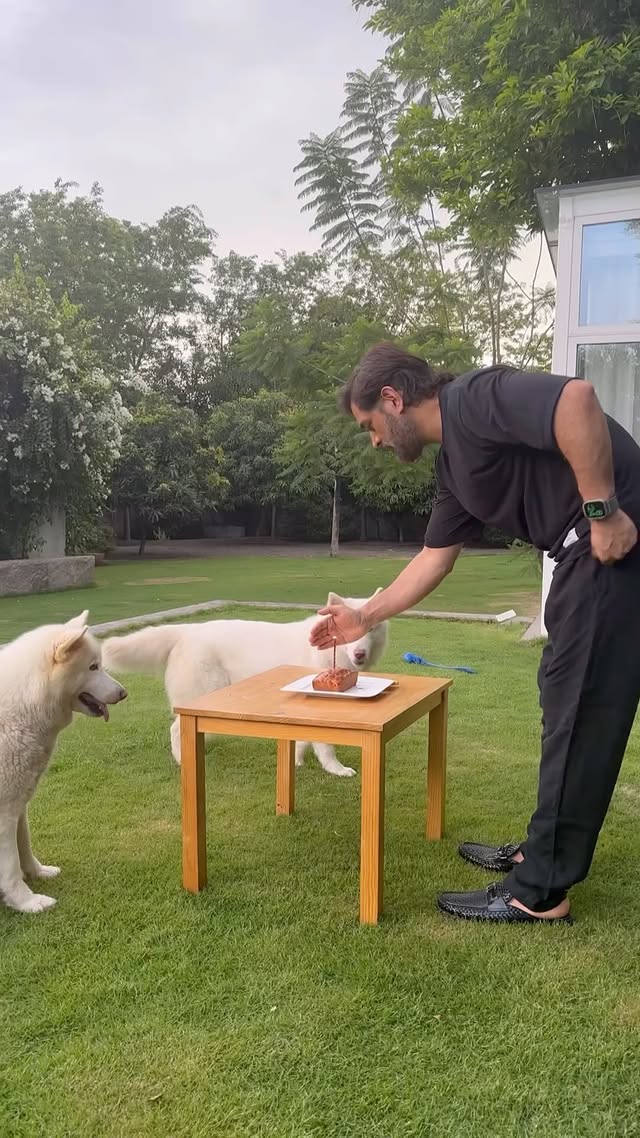 Saved public post media preview 4 from @mahi7781 snapshot