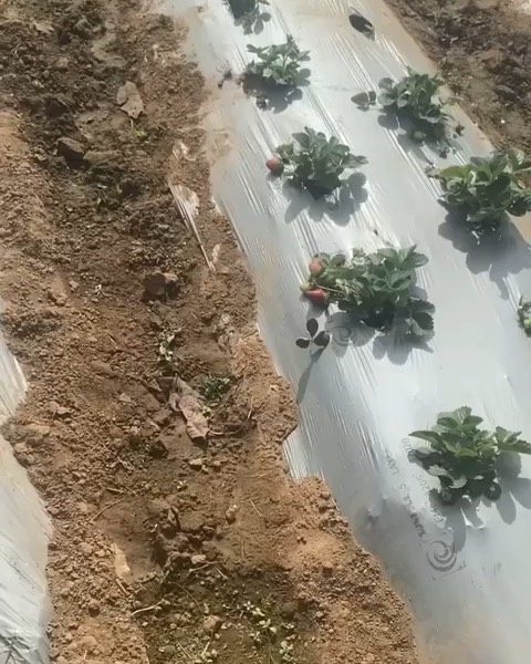 Saved public post media preview 6 from @mahi7781 snapshot