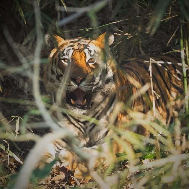 Saved public post media preview 8 from @mahi7781 snapshot