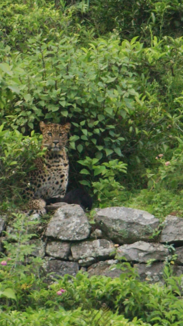 Saved public post media preview 7 from @natgeo snapshot