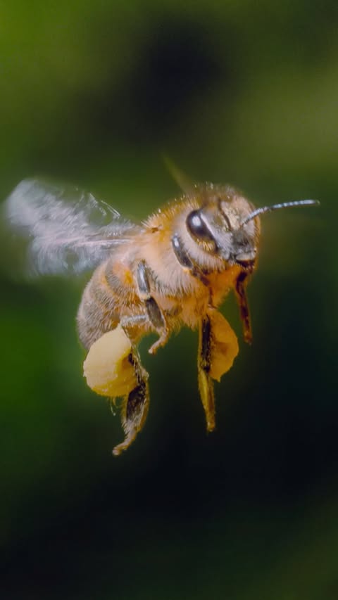 Saved public reels media preview 8 from @natgeo snapshot
