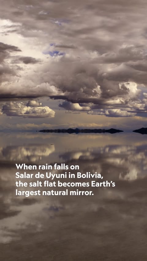 Saved public reels media preview 9 from @natgeo snapshot