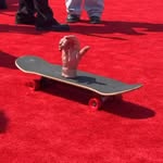 Saved public highlight cover 5 for @netflixbrasil