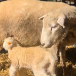 Saved public highlight cover 6 for @prattprattpratt