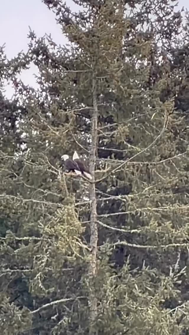 Saved public post media preview 1 from @prattprattpratt snapshot