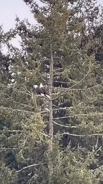 Saved public reels media preview 1 from @prattprattpratt snapshot