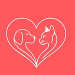 Saved public highlight cover 4 for @rashmika_mandanna