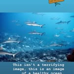 Saved public highlight cover 1 for @rohitsharma45