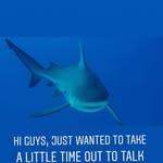 Saved public highlight cover 2 for @rohitsharma45