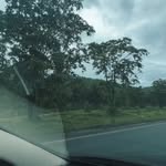 Saved public highlight cover 4 for @rohittt_09_