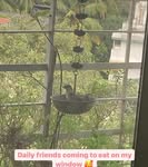 Saved public highlight cover 5 for @shraddhakapoor