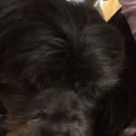 Saved public highlight cover 8 for @shraddhakapoor