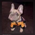 Saved public highlight cover 2 for @snoopdogg