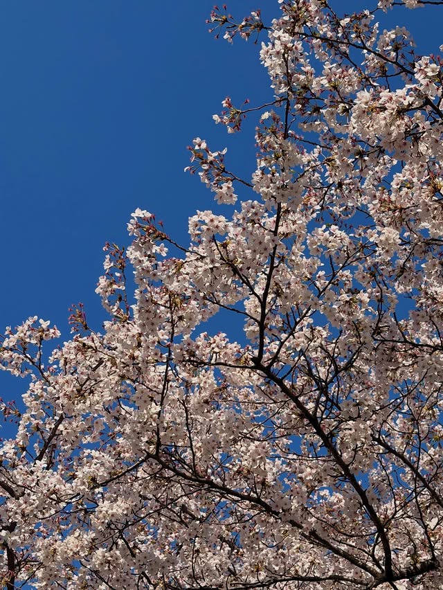 Saved public post media preview 2 from @sooyaaa__ snapshot