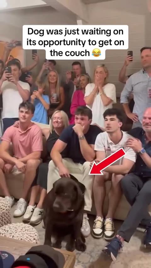 Saved public reels media preview 6 from @sportscenter snapshot