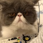 Saved public highlight cover 3 for @tatawerneck