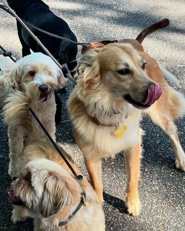 Saved public post media preview 2 from @tatawerneck snapshot