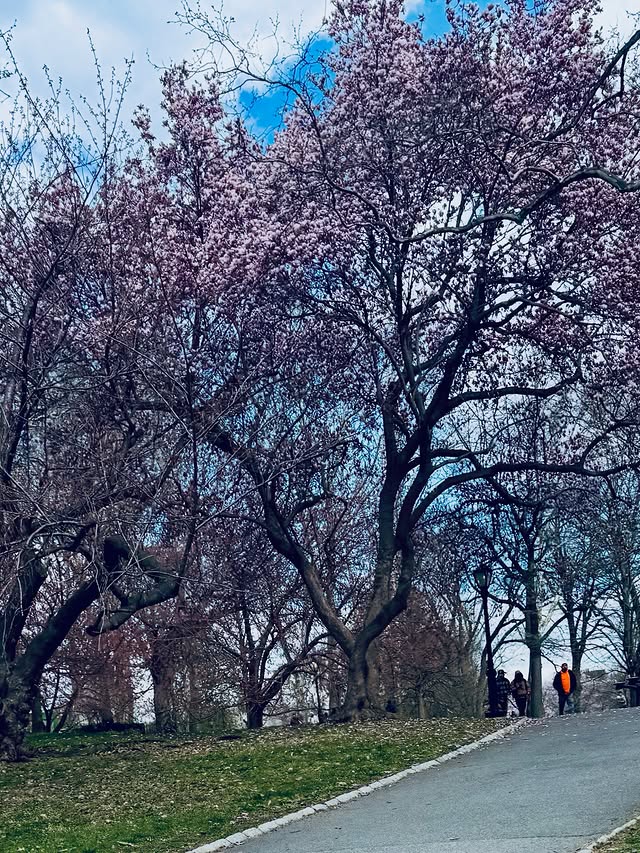 Saved public post media preview 9 from @thehughjackman snapshot