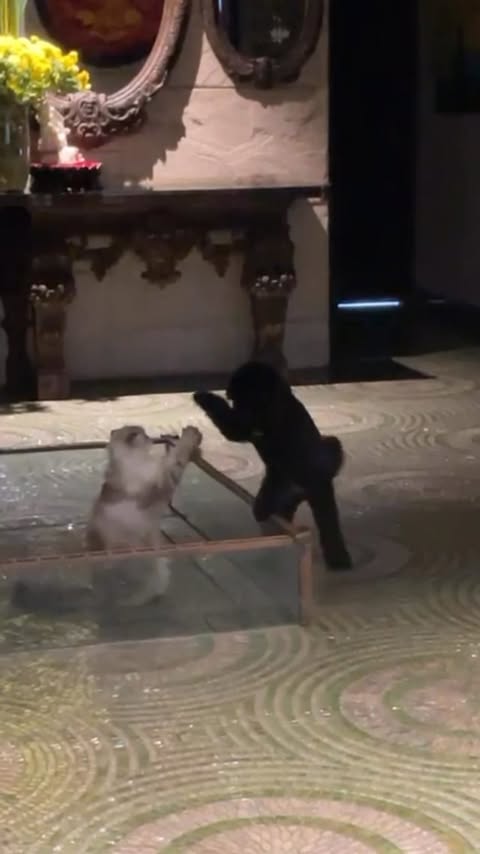 Saved public reels media preview 7 from @theshilpashetty snapshot