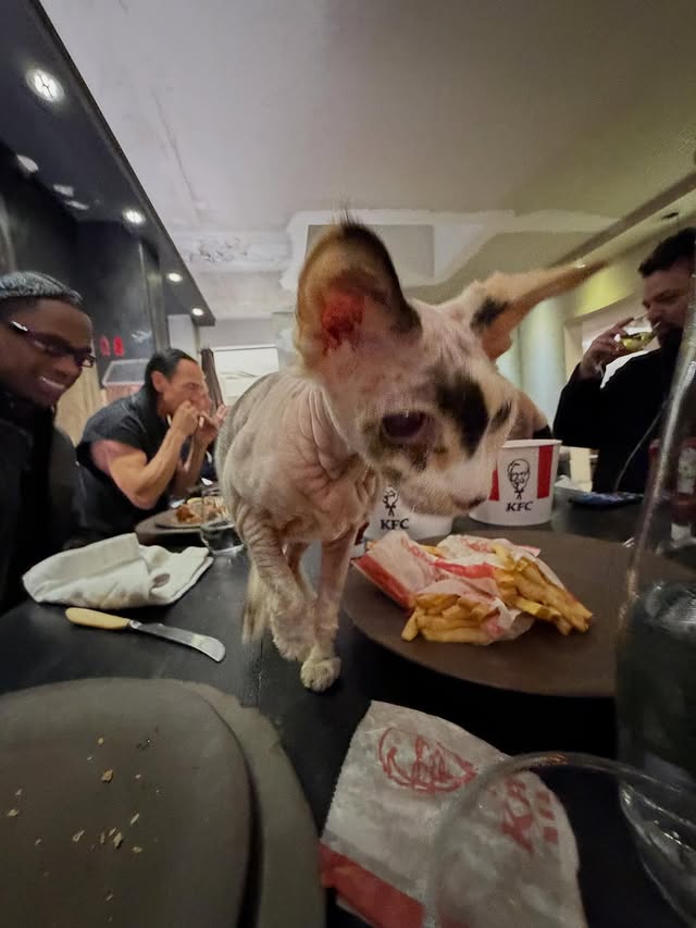 Saved public post media preview 5 from @travisscott snapshot