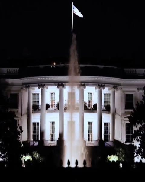 Saved public reels media preview 4 from @ufc snapshot