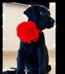 Saved public highlight cover 7 for @urvashirautela