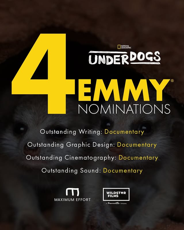 Saved public post media preview 8 from @vancityreynolds snapshot