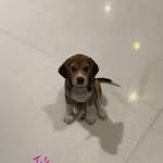 Saved public highlight cover 1 for @varundvn