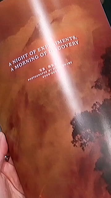 Saved public reels media preview 2 from @versace snapshot