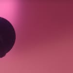 Saved public highlight cover 7 for @victoriassecret