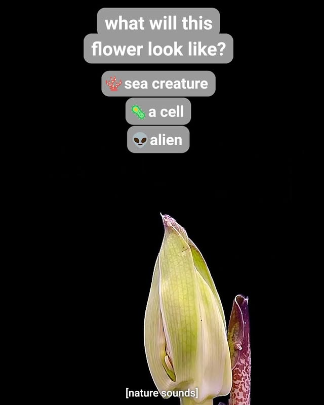 Saved public post media preview 9 from @youtube snapshot