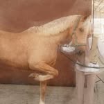 Saved public highlight cover 8 for @zaskiasungkar15