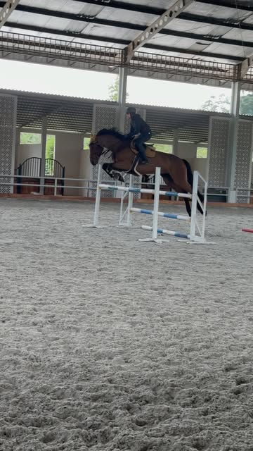 Saved public reels media preview 1 from @zaskiasungkar15 snapshot