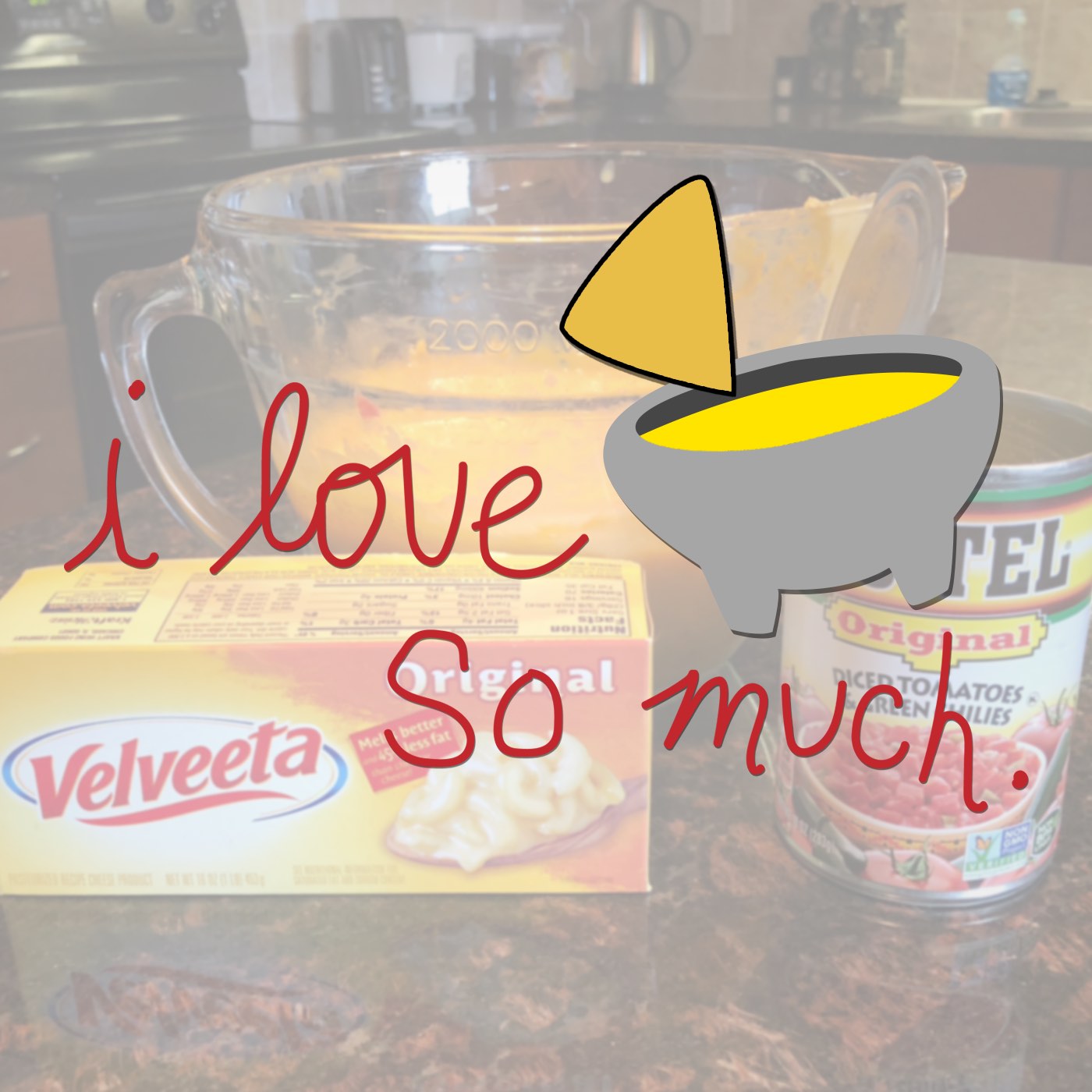 I Love Queso So Much