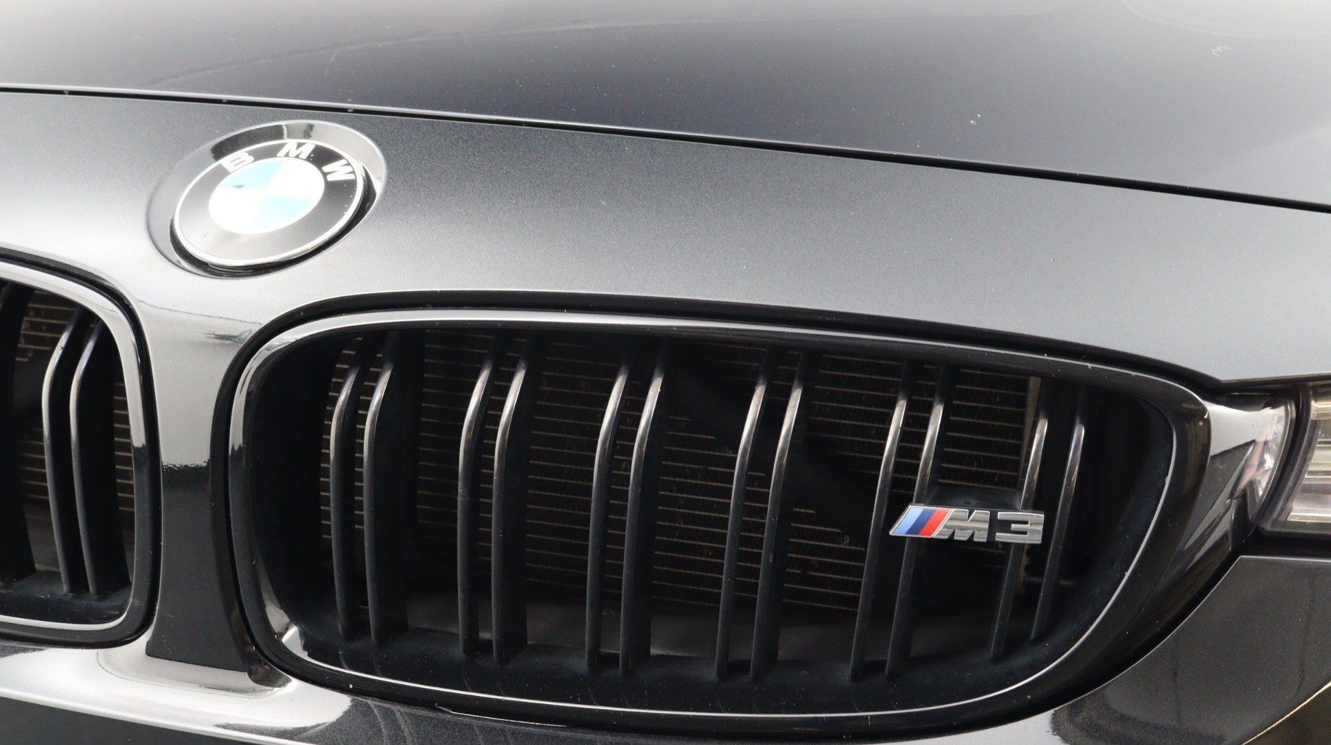 Florida Fine Cars - Used BMW M3 2016 WEST PALM